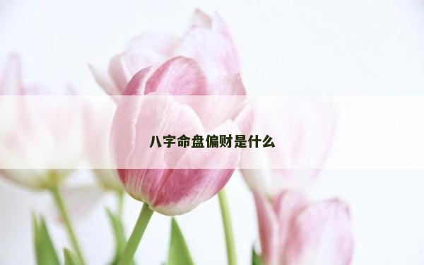 八字命盤偏財是什么