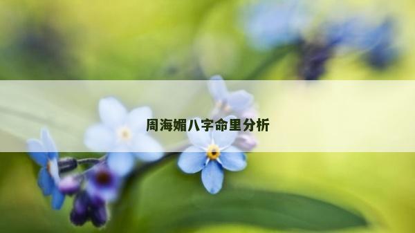 周海媚八字命里分析