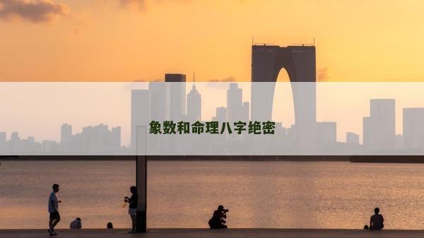 象數(shù)和命理八字絕密