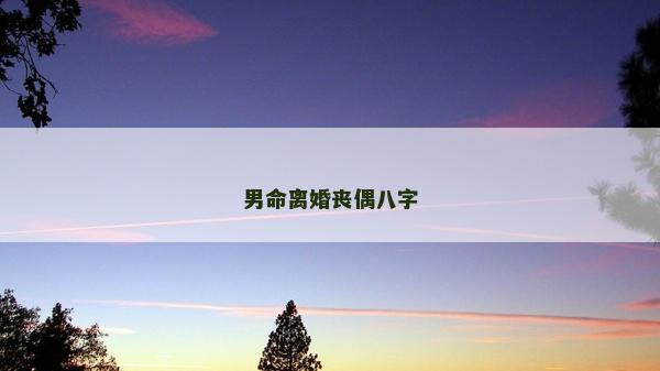 男命離婚喪偶八字