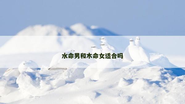 水命男和木命女適合嗎