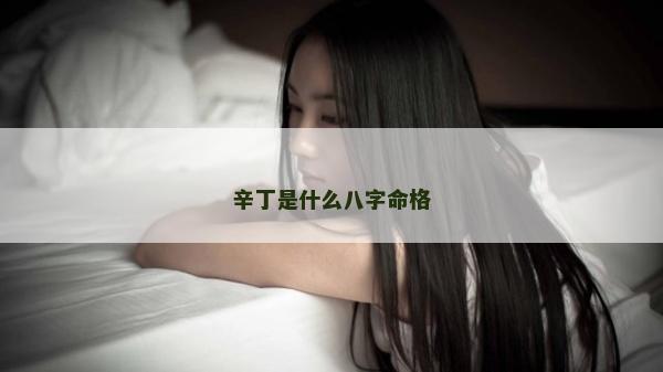 辛丁是什么八字命格