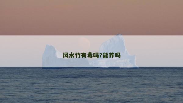 風水竹有毒嗎?能養嗎