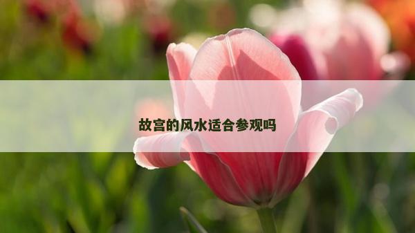 故宮的風水適合參觀嗎