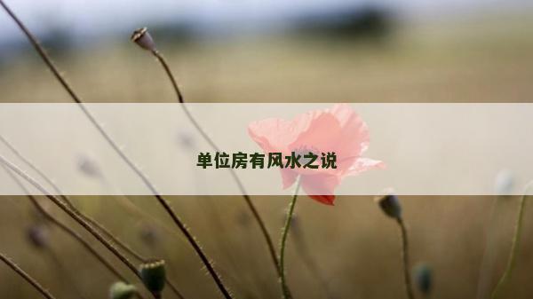 單位房有風水之說