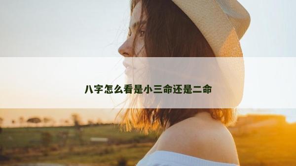 八字怎么看是小三命還是二命