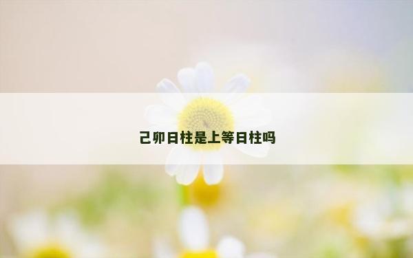 己卯日柱是上等日柱嗎