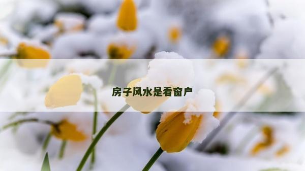 房子風水是看窗戶 房子風水是看窗戶