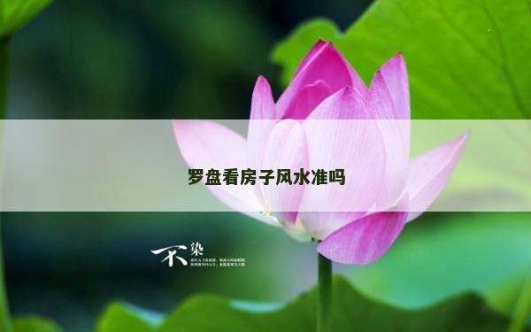 羅盤看房子風水準嗎