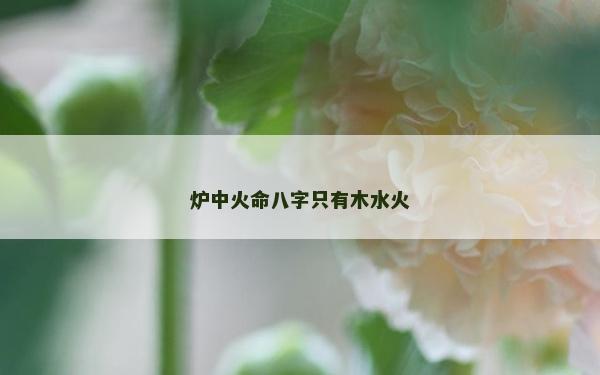 爐中火命八字只有木水火