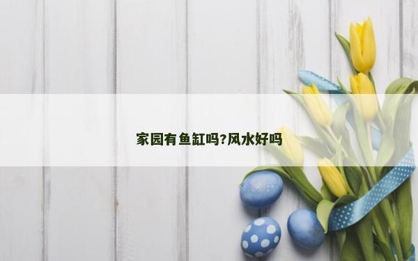 家園有魚缸嗎?風水好嗎