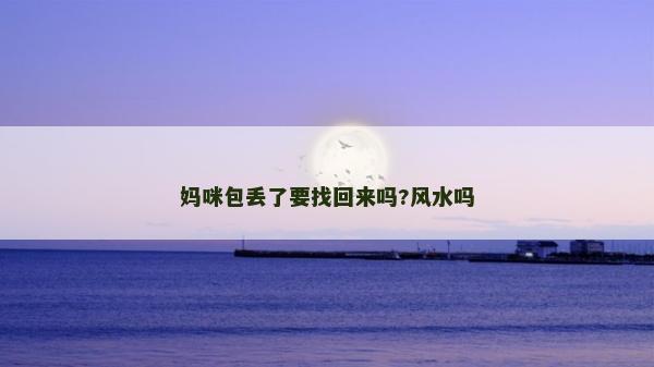 媽咪包丟了要找回來嗎?風水嗎