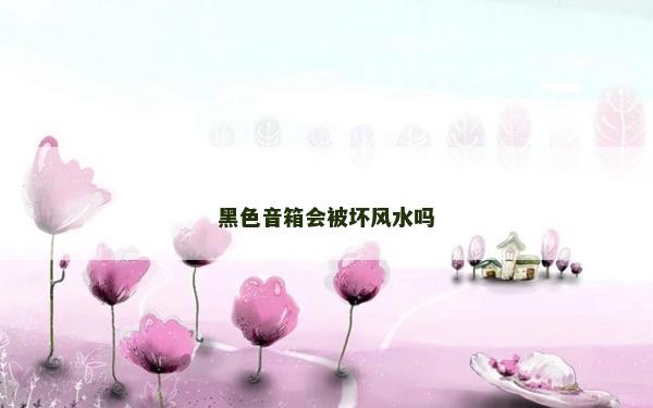 黑色音箱會(huì)被壞風(fēng)水嗎