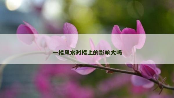 一樓風(fēng)水對(duì)樓上的影響大嗎