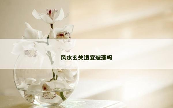 風水玄關適宜玻璃嗎