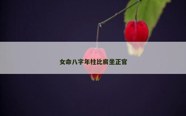 女命八字年柱比肩坐正官