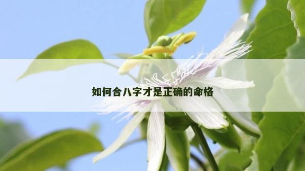 如何合八字才是正確的命格 如何合八字才是正確的命格