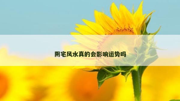 陰宅風水真的會影響運勢嗎