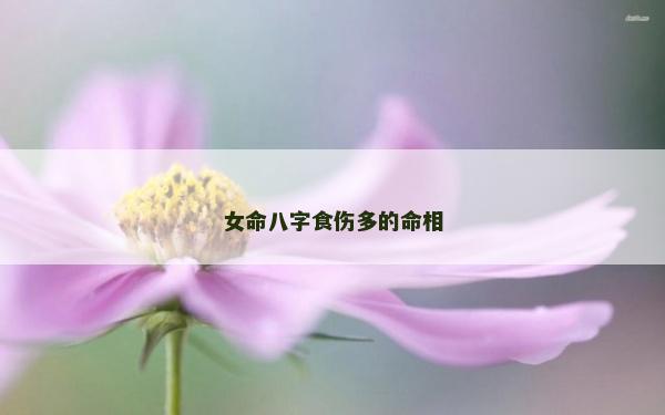 女命八字食傷多的命相