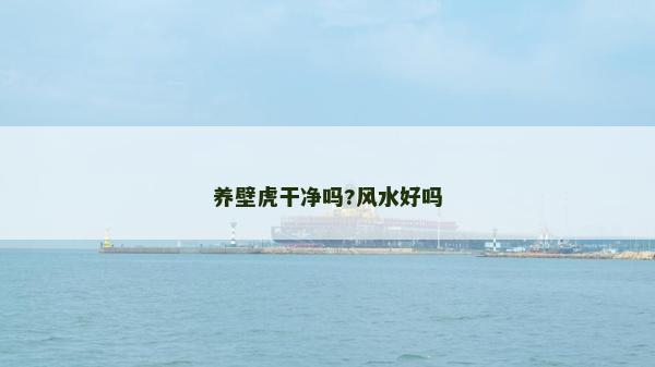 養(yǎng)壁虎干凈嗎?風(fēng)水好嗎