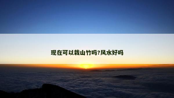 現(xiàn)在可以栽山竹嗎?風水好嗎