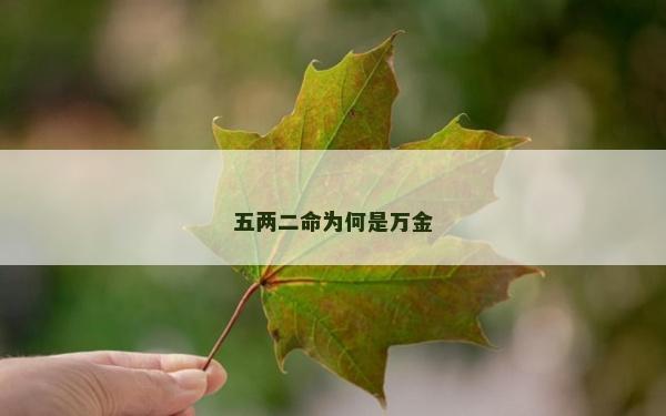 五兩二命為何是萬金