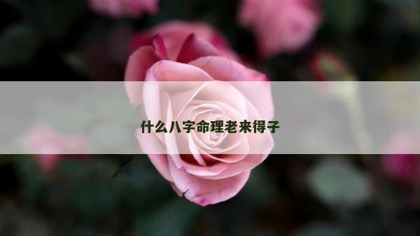 什么八字命理老來得子