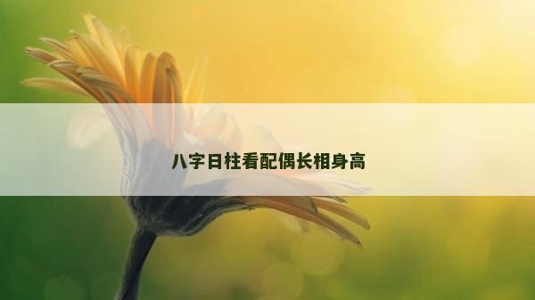 八字日柱看配偶長相身高
