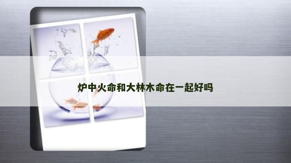 爐中火命和大林木命在一起好嗎
