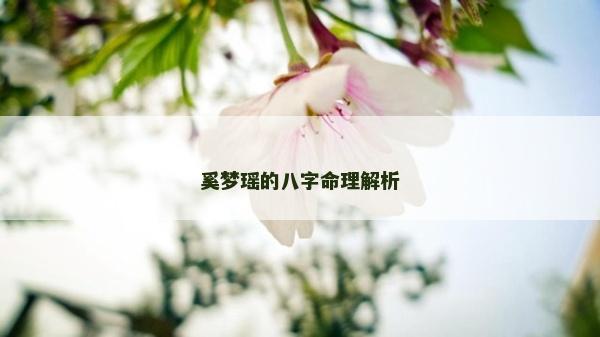 奚夢瑤的八字命理解析
