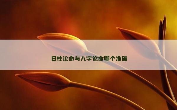 日柱論命與八字論命哪個準(zhǔn)確