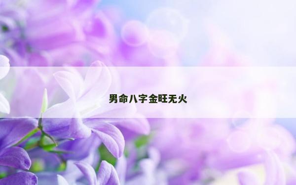 男命八字金旺無火
