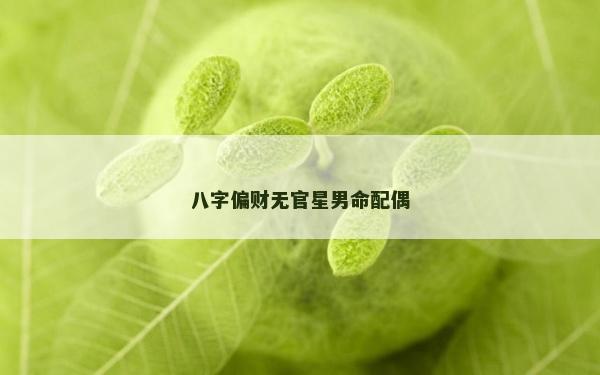 八字偏財無官星男命配偶