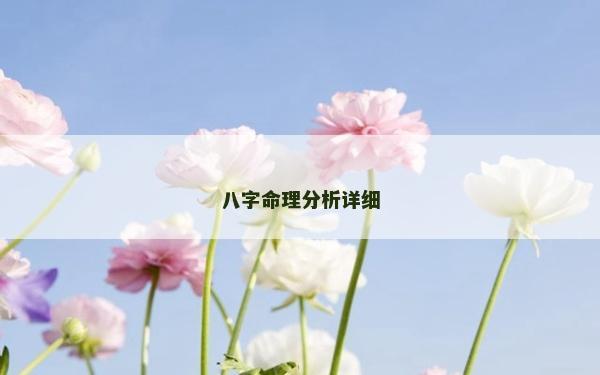 八字命理分析詳細(xì)