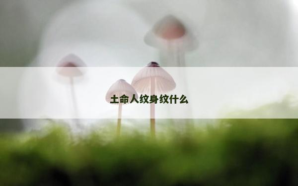 土命人紋身紋什么