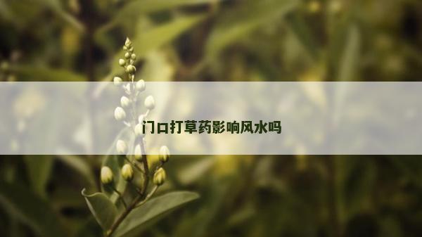 門口打草藥影響風水嗎