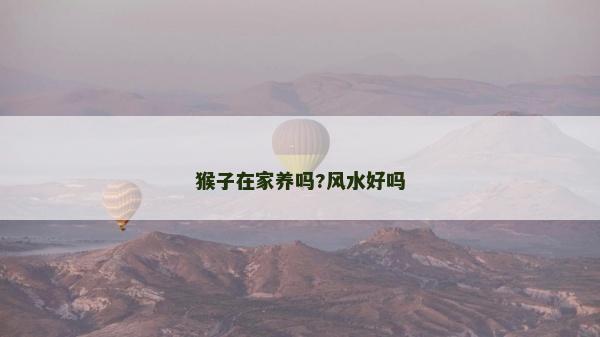 猴子在家養嗎?風水好嗎