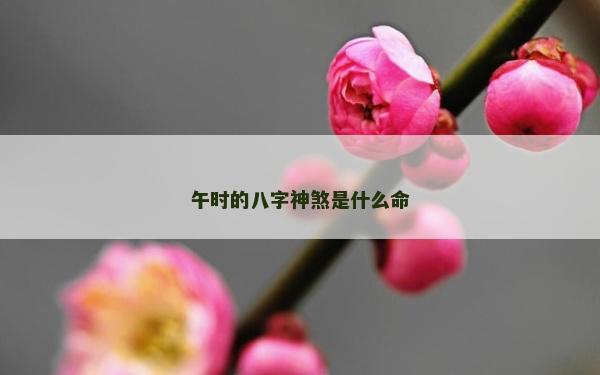 午時的八字神煞是什么命
