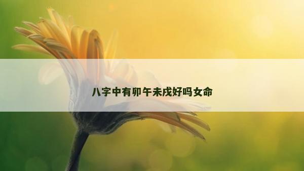 八字中有卯午未戌好嗎女命