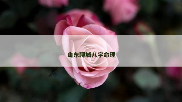 山東聊城八字命理