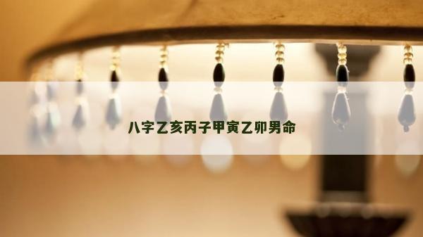 八字乙亥丙子甲寅乙卯男命