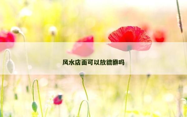 風水店面可以放貔貅嗎
