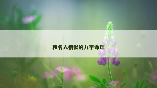 和名人相似的八字命理