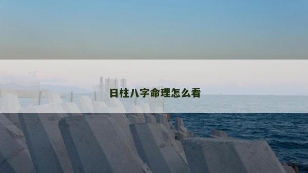日柱八字命理怎么看