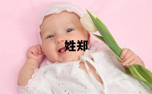 姓鄭叫什么名字好 姓鄭的女孩有涵養(yǎng)的名字