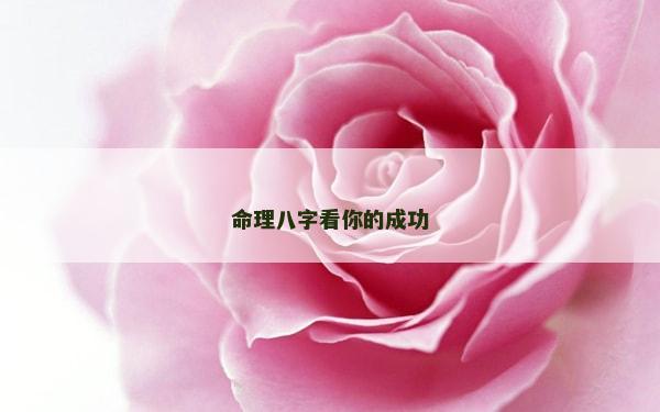 命理八字看你的成功