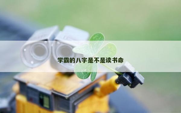 學(xué)霸的八字是不是讀書(shū)命