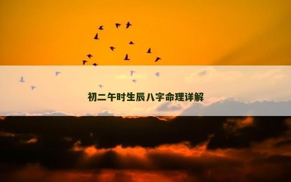 初二午時生辰八字命理詳解