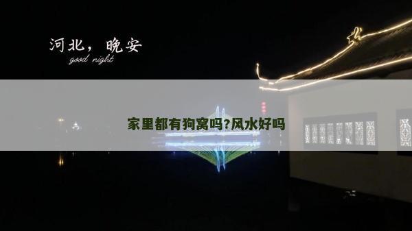 家里都有狗窩嗎?風水好嗎