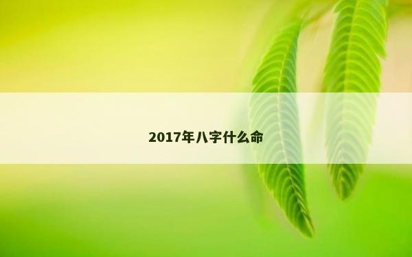 2017年八字什么命